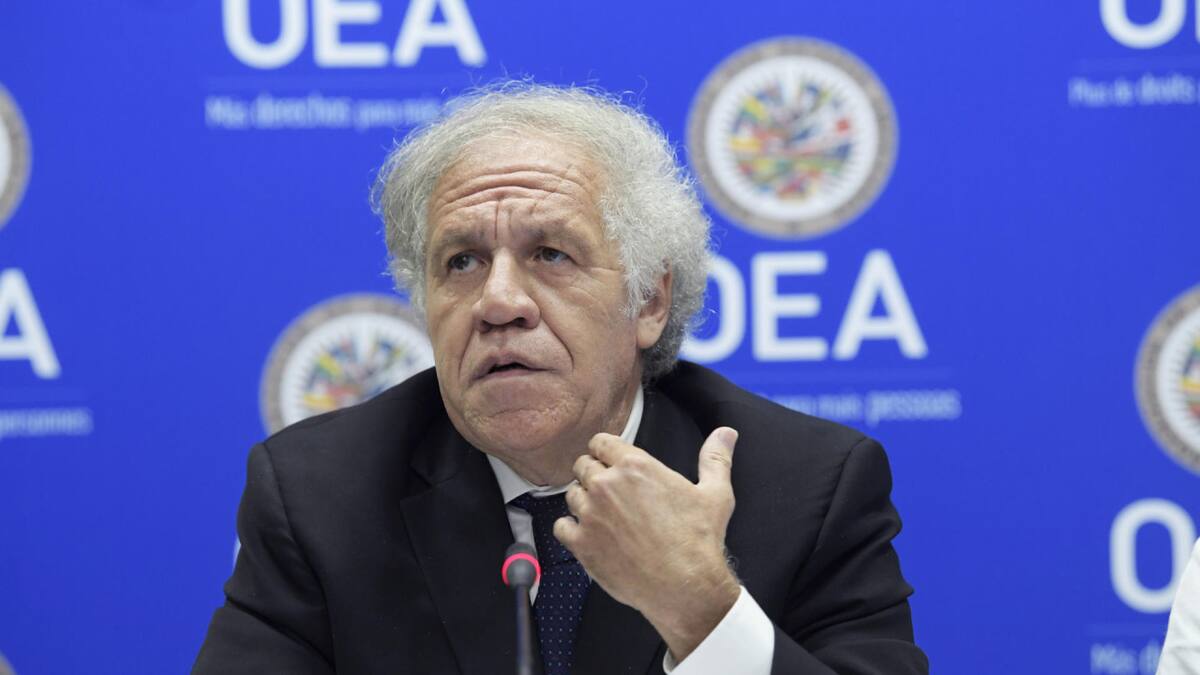 Luis Almagro, secretario general de la OEA. Foto: EFE.