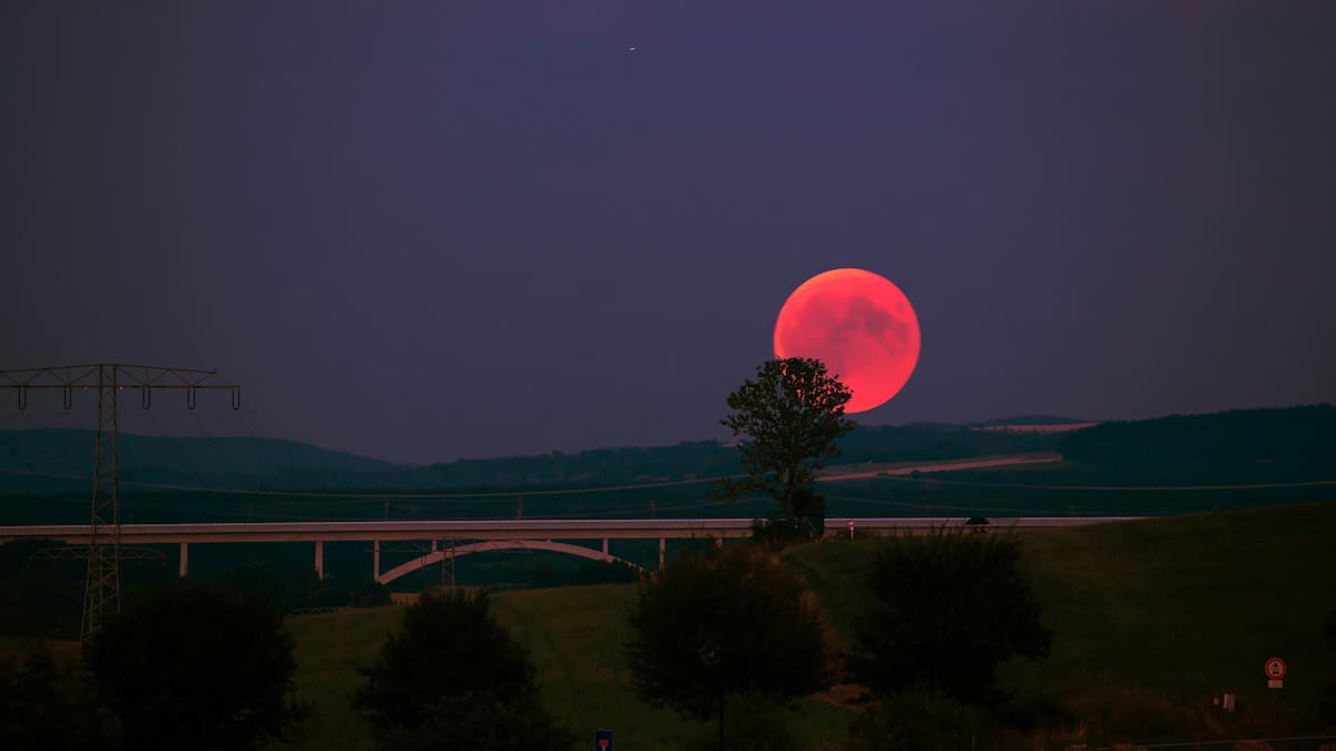 Llegó la Luna de Fresa: qué significa este fenómeno astronómico y por qué es uno de los más especiales del año
