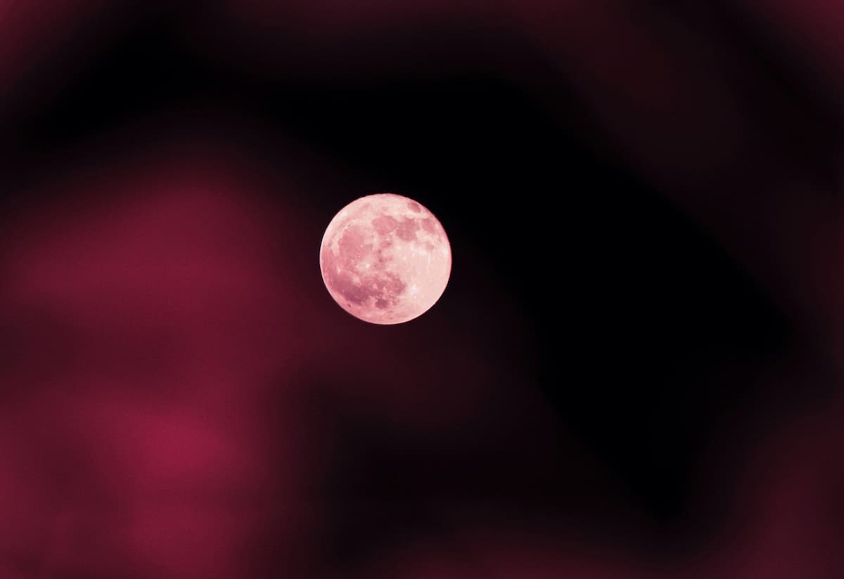 Luna de Fresa. Foto: Unsplash.