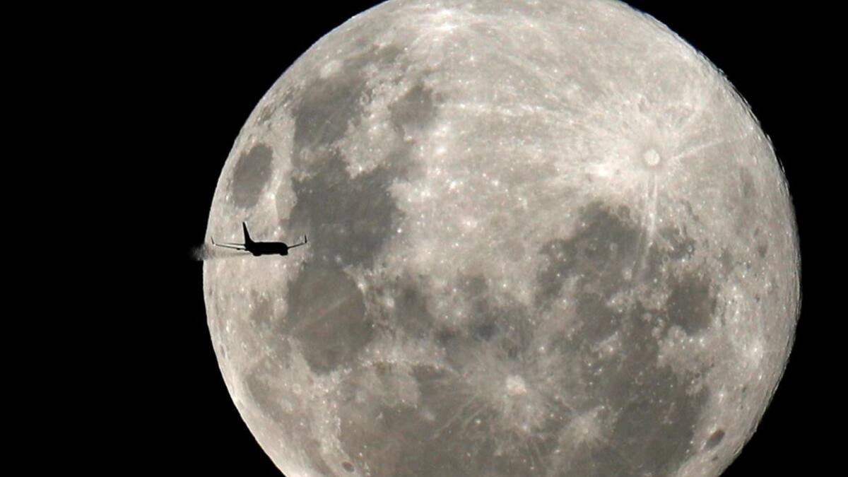 Luna de Nieve, Reuters