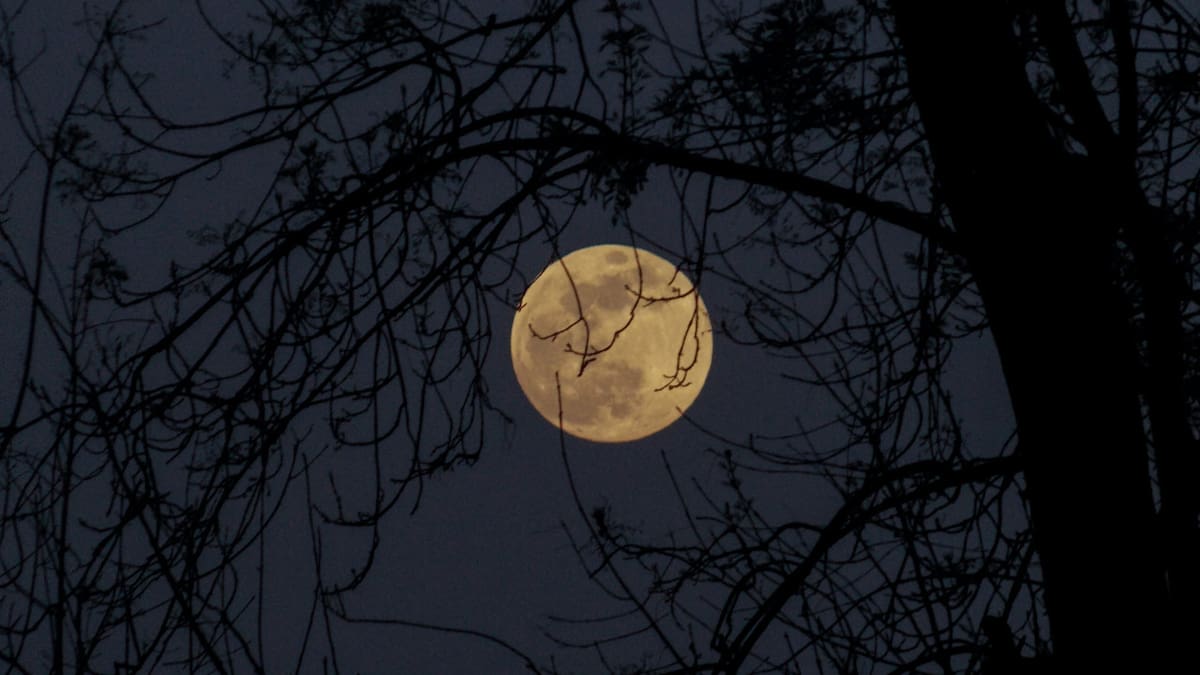 Luna. Foto: Unsplash