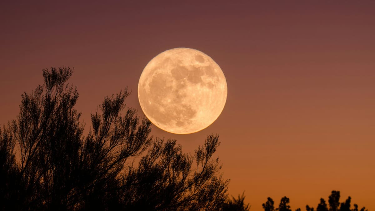 Calendario de eventos astronómicos en septiembre 2026: Luna llena, planetas y las fechas clave para mirar el cielo en Argentina