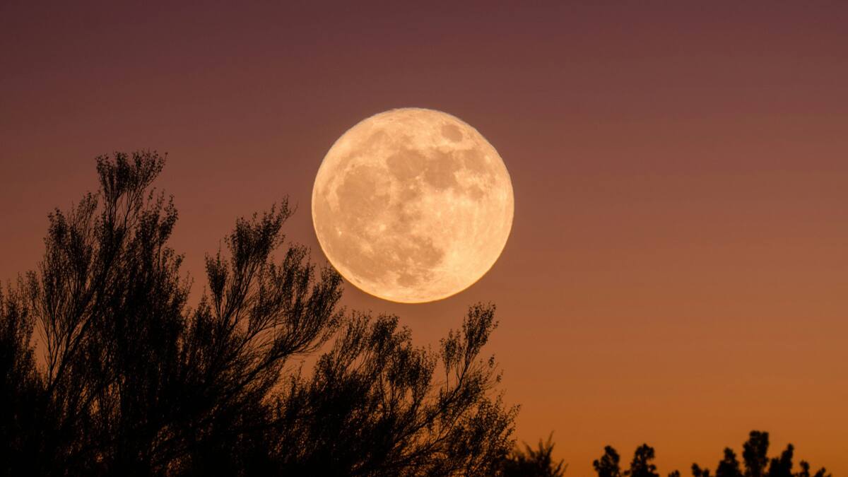 Luna llena. Foto: Unsplash