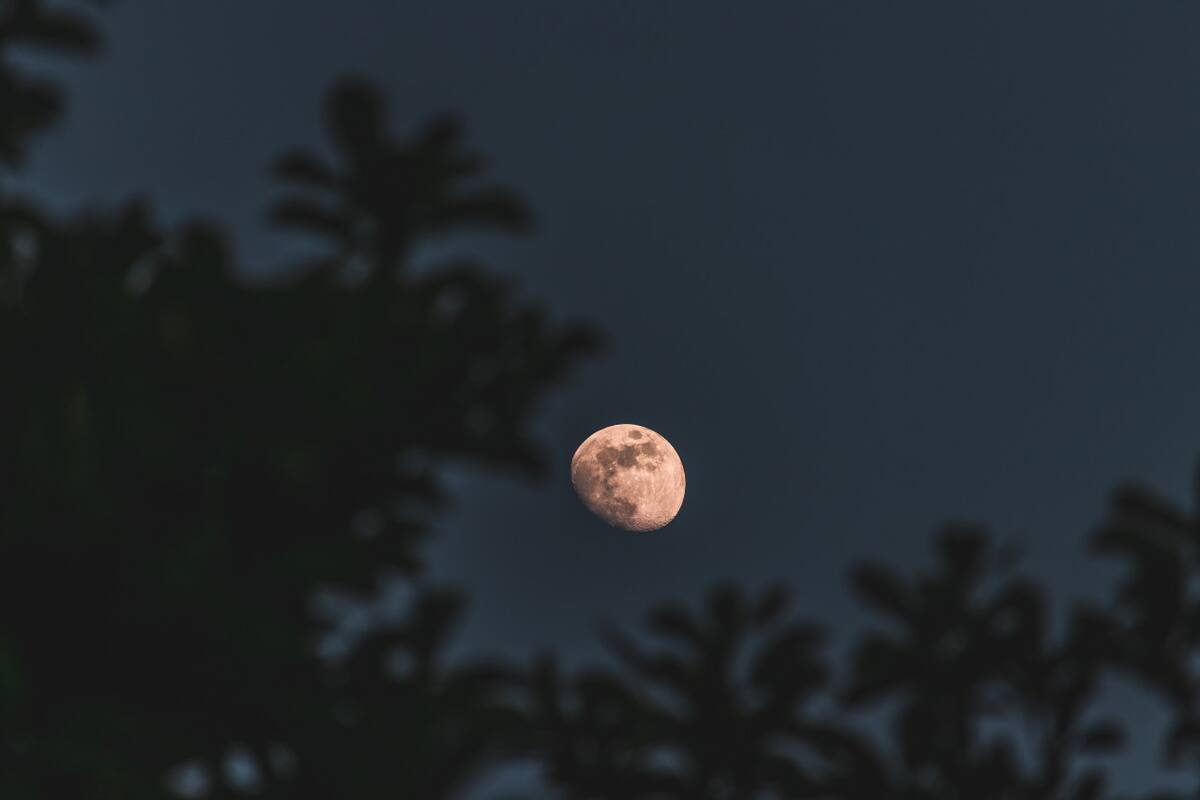 Luna nueva. Foto: Freepik.