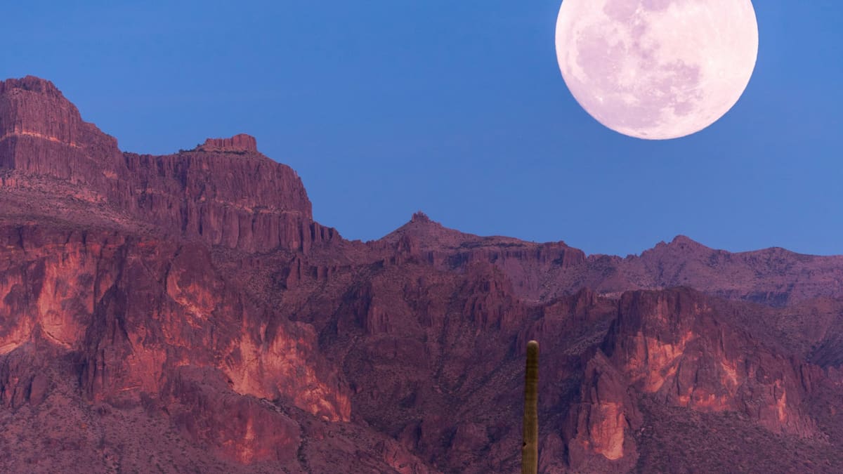 Luna Rosa. Foto: Unsplash.