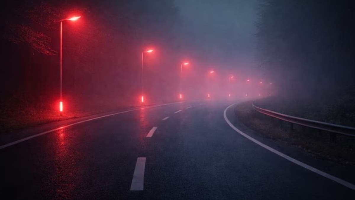 Un pueblo con las calles de rojo: la innovadora implementación para proteger la fauna nativa