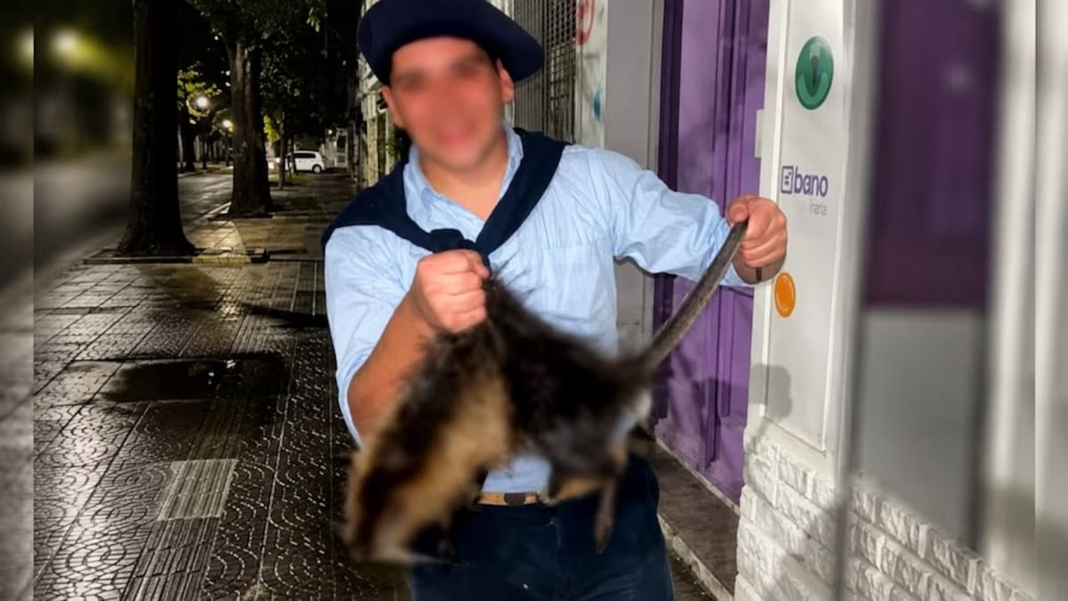 Maltrato animal: los jóvenes que mataron a la nutria a golpes en Bahía Blanca denunciaron haber sido amenazados