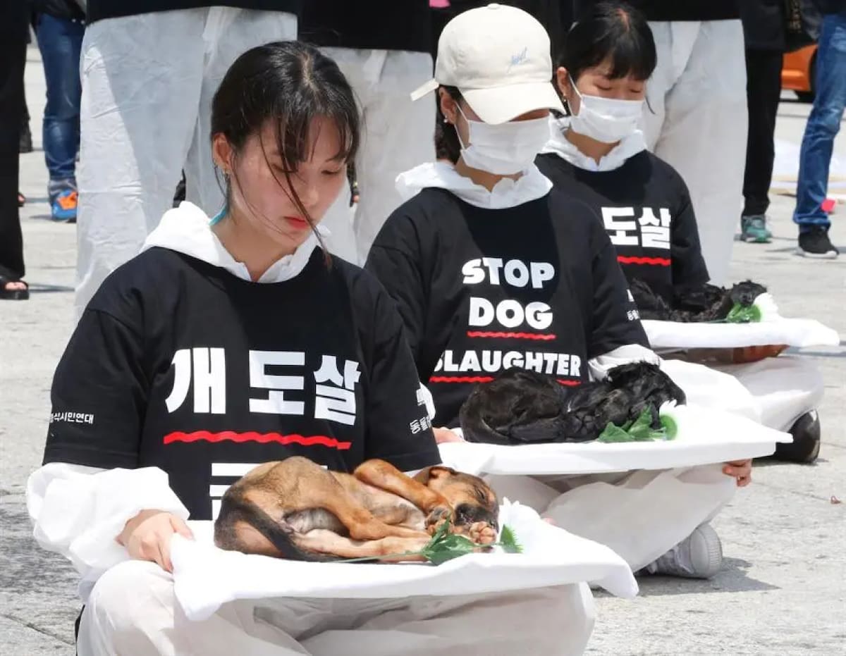 Manifestantes contra el consumo de carne de perro . Foto: EFE.