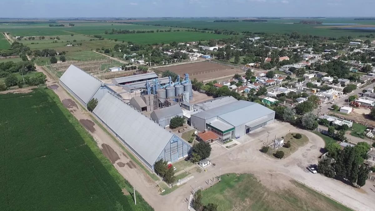 Por qué una histórica empresa de maní de Córdoba acaba de pedir su quiebra