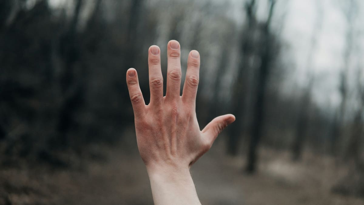 Manos. Foto: Unsplash