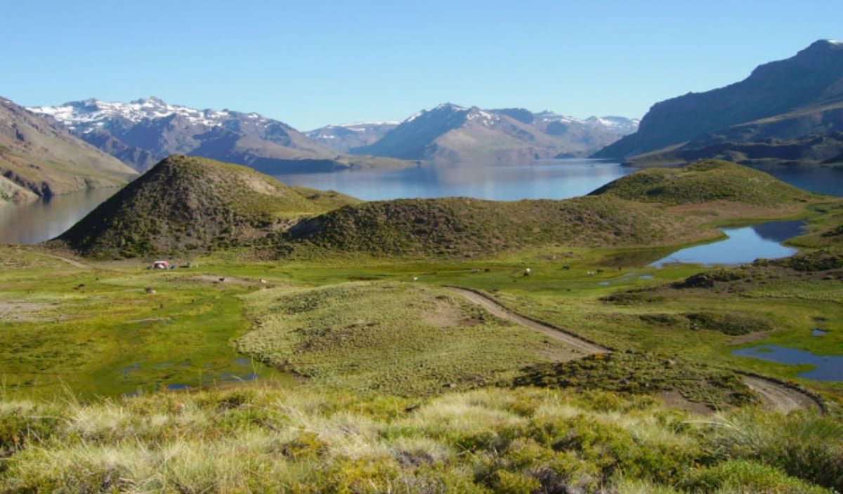 Manzano Amargo. Foto Neuquén Turismo.