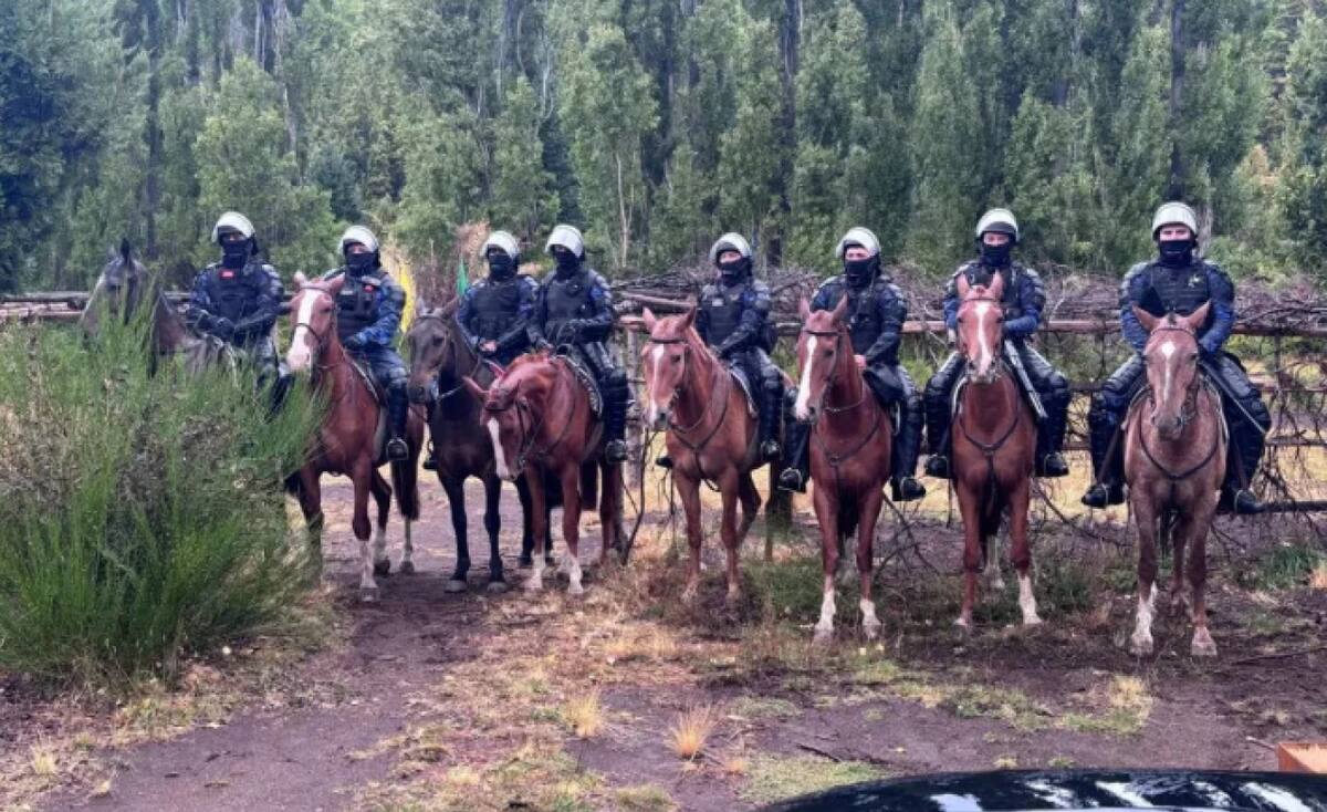 Mapuches liberaron un predio en Bariloche pero negaron la restitución a los dueños.