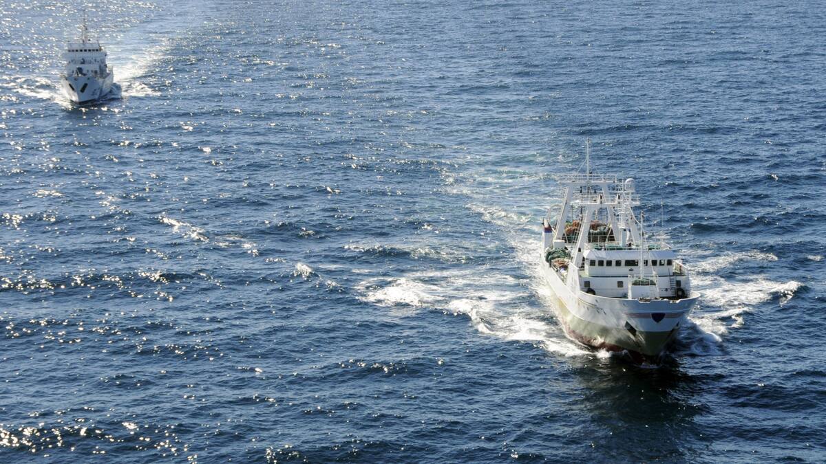 Mar argentino. Foto: NA