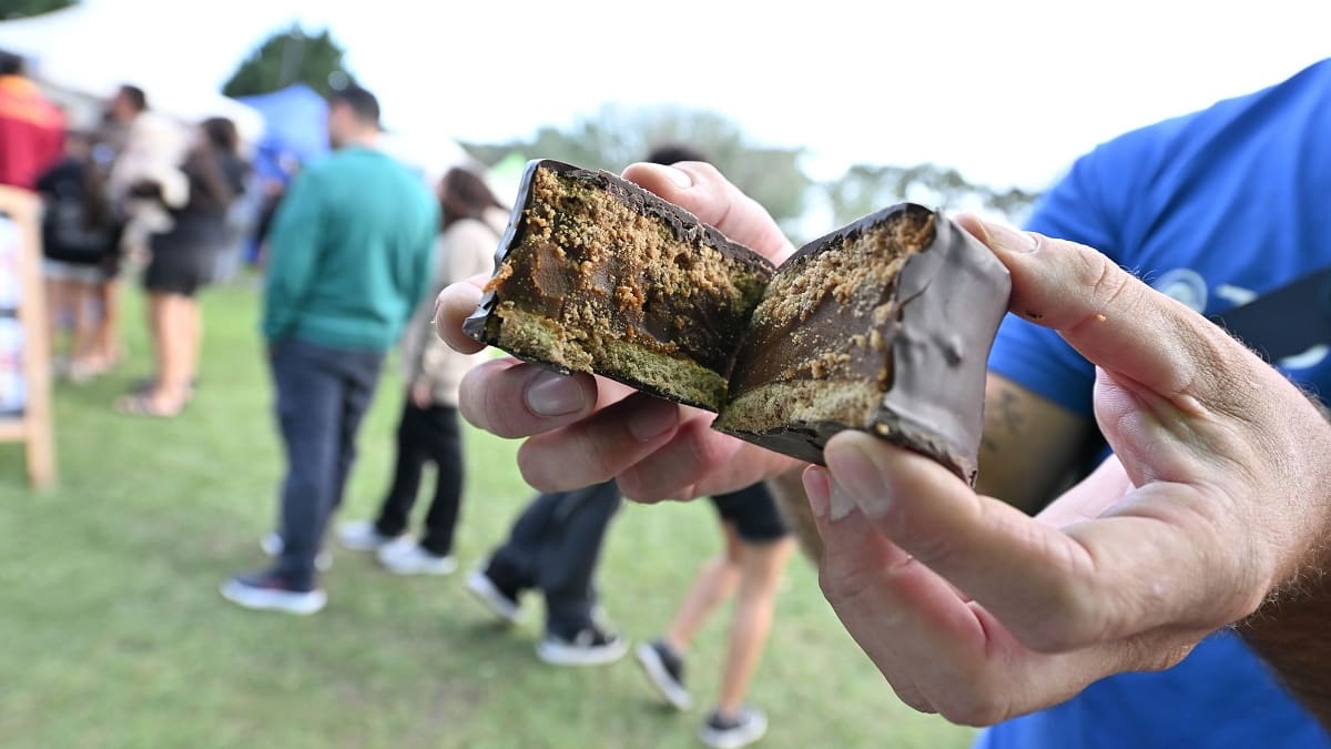 Fiesta Itinerante del Chocolate y el Alfajor en Mar Chiquita: fechas y shows gratuitos de un evento lleno de sabor