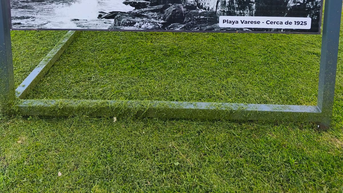 Mar del Plata