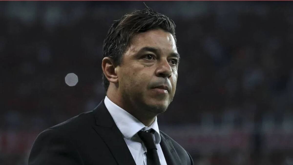 Marcelo Gallardo, director técnico. Foto: NA
