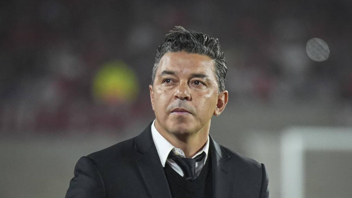 Marcelo Gallardo, NA