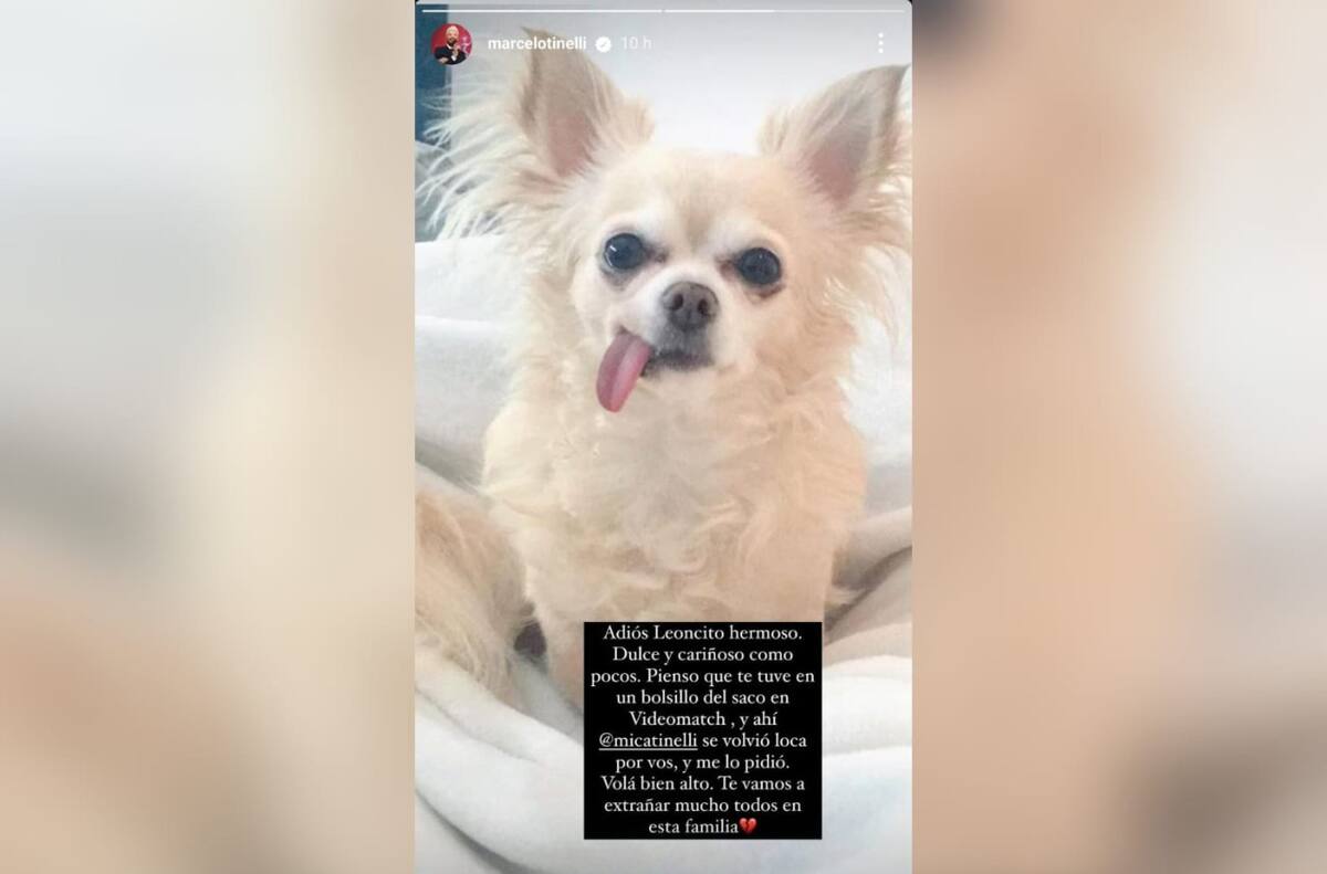 Marcelo Tinelli compartió una foto de León, el perro de su hija. Foto: Instagram.