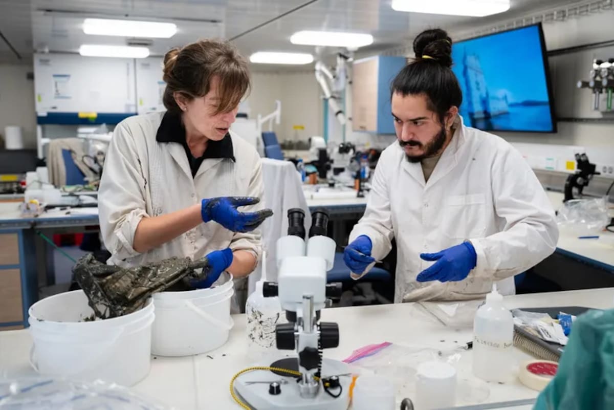 María Emilia Bravo, científica argentina.