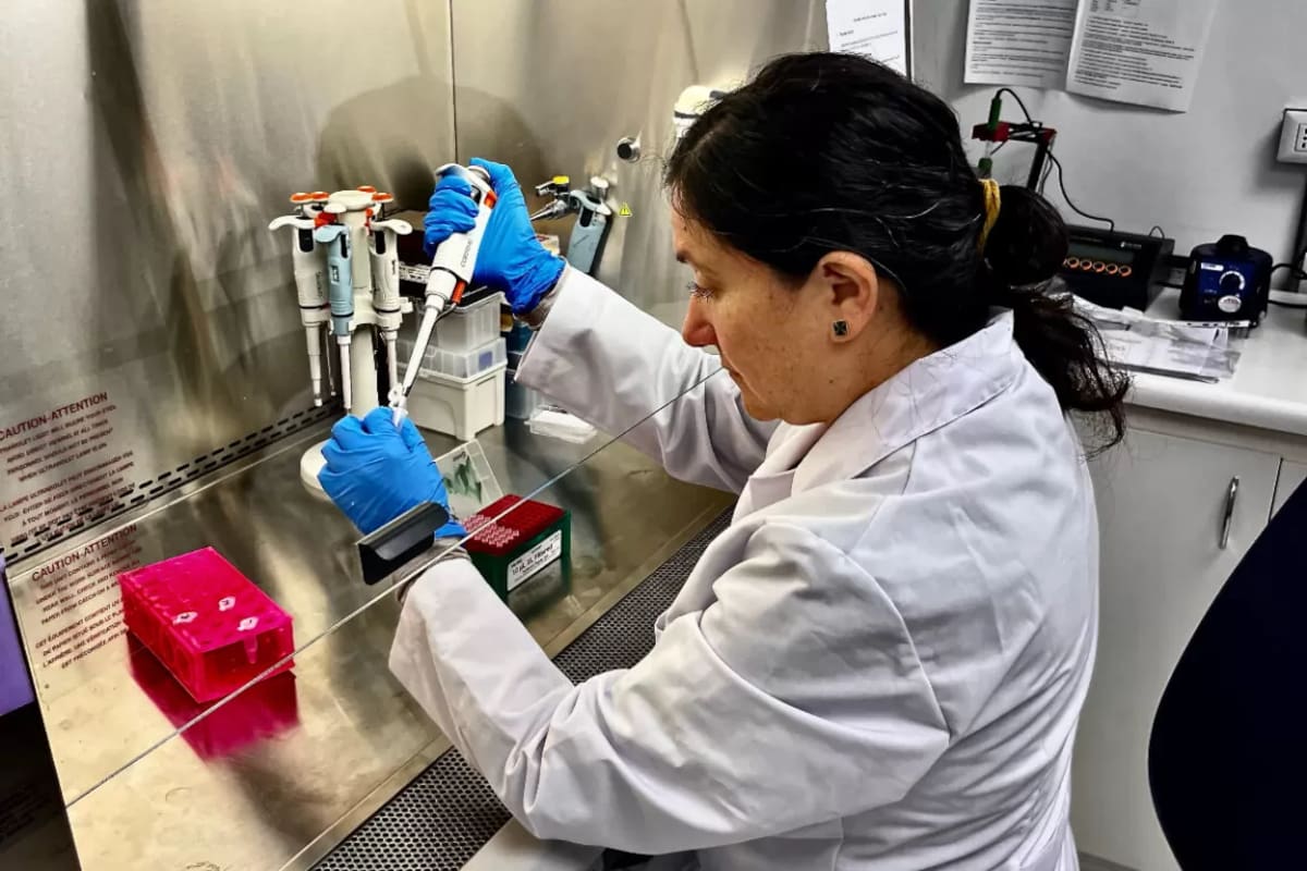 María Inés Barría trabajando en la vacuna contra el hantavirus.