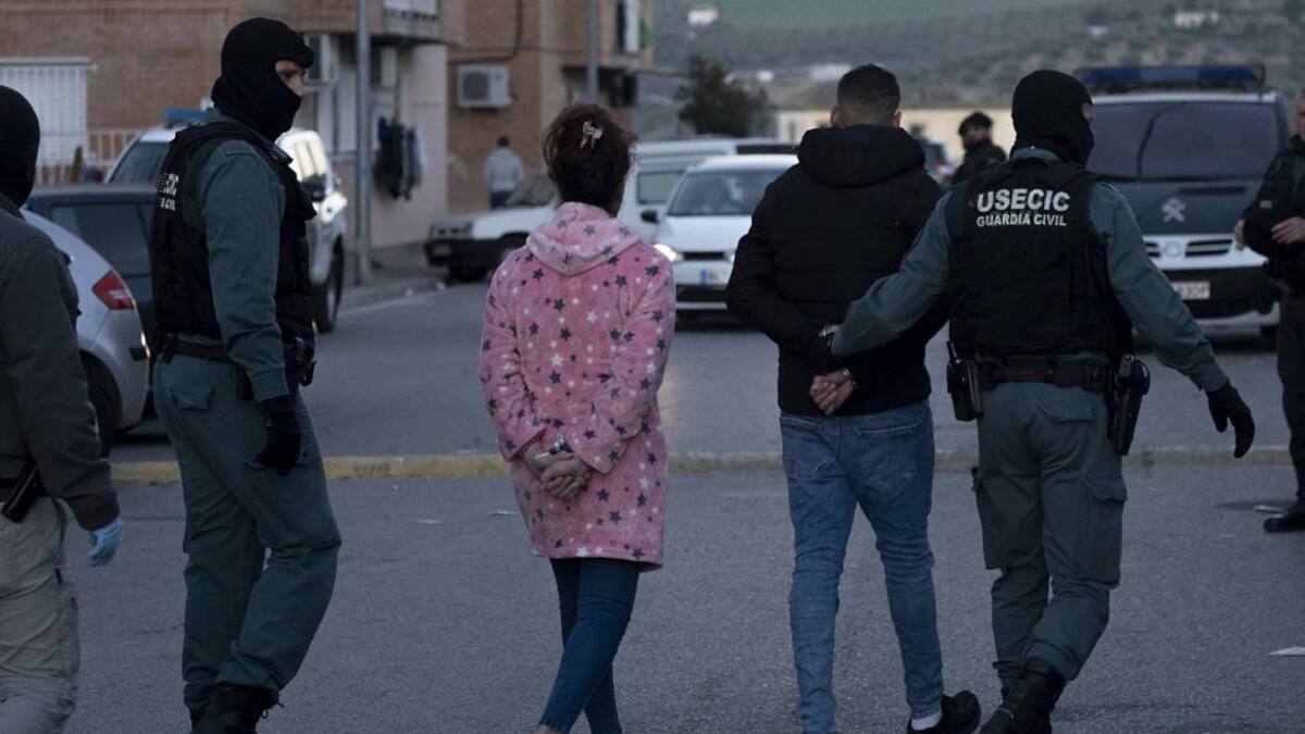 Marihuana, cosecha en España