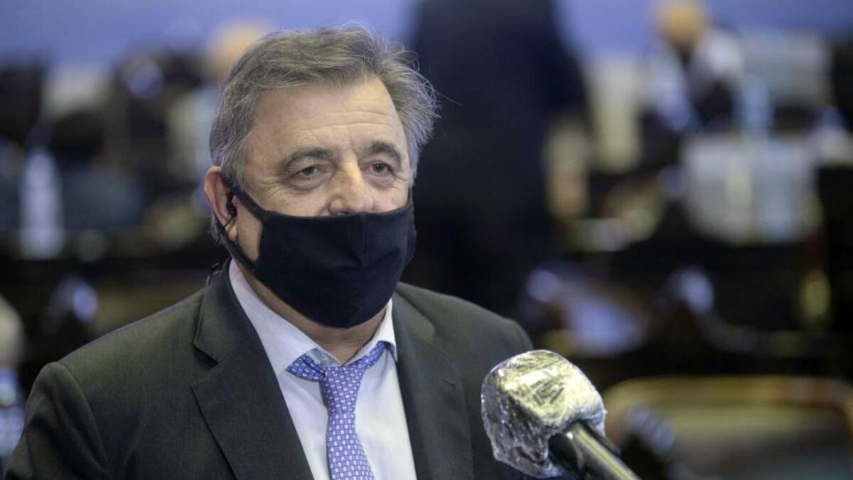 Mario Negri, Juntos por el Cambio, NA