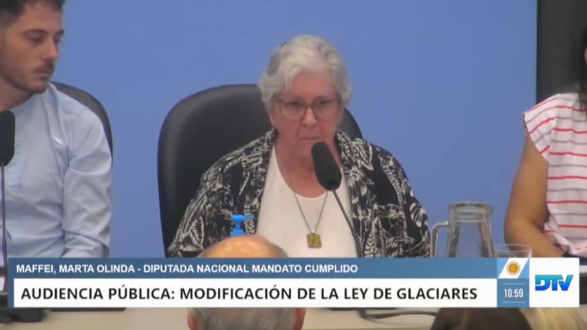 Marta Maffei en la audiencia pública por la Ley de Glaciares.