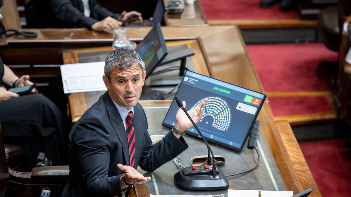 Sigue la puja en Diputados: La Libertad Avanza trabaja en la primera minoría entre tensiones con el PRO