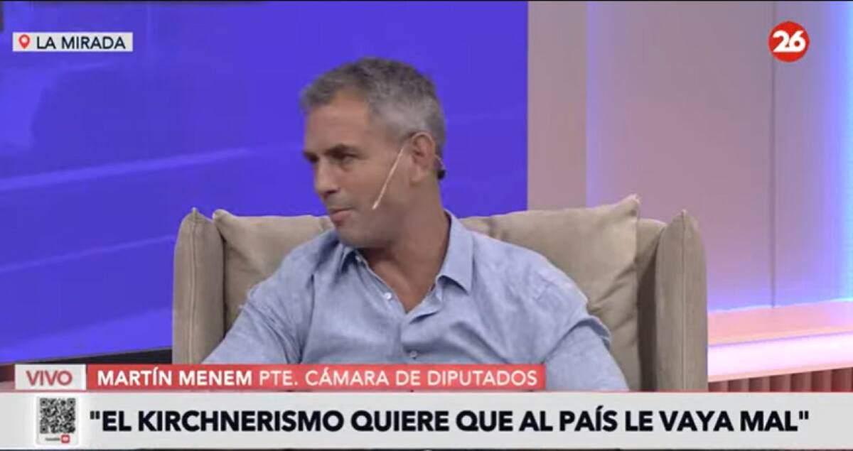 Martín Menem en La Mirada. Foto: Captura de video.