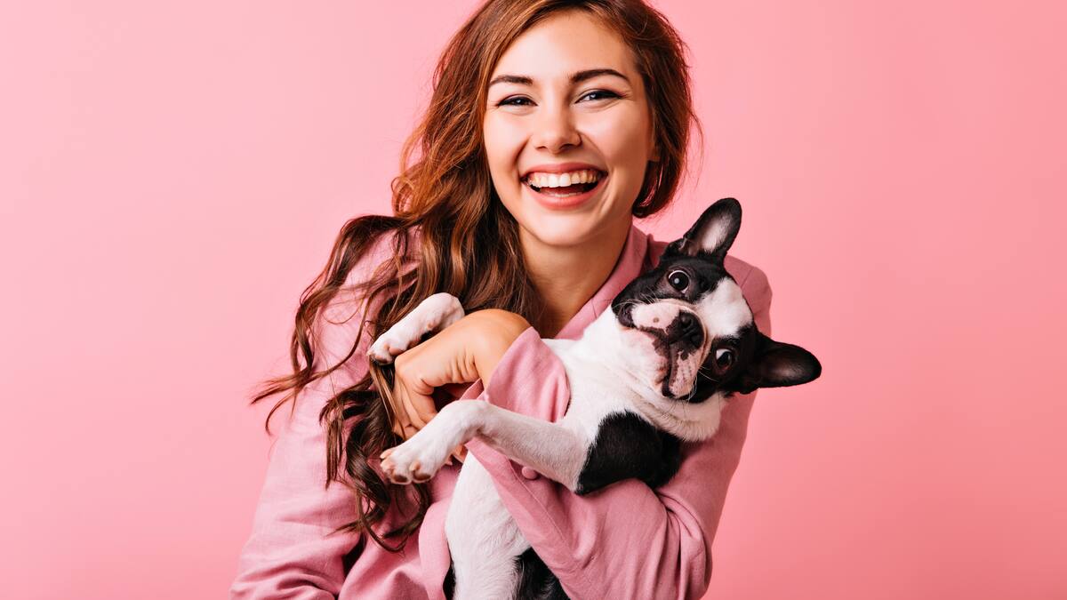 Mascota, perro.