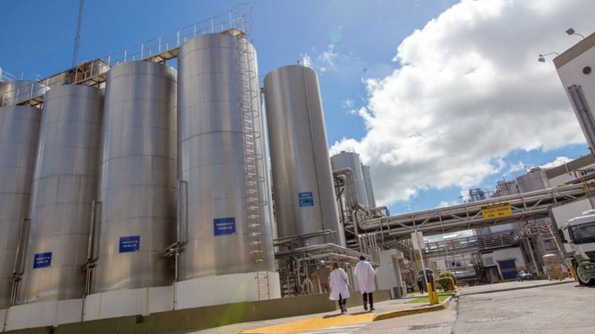 Mastellone - Empresa