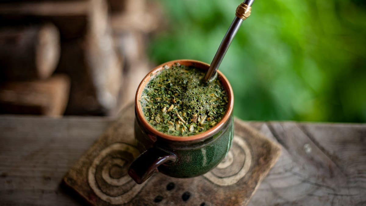 Ecológico y biodegradable: cómo utilizar la yerba usada en las macetas