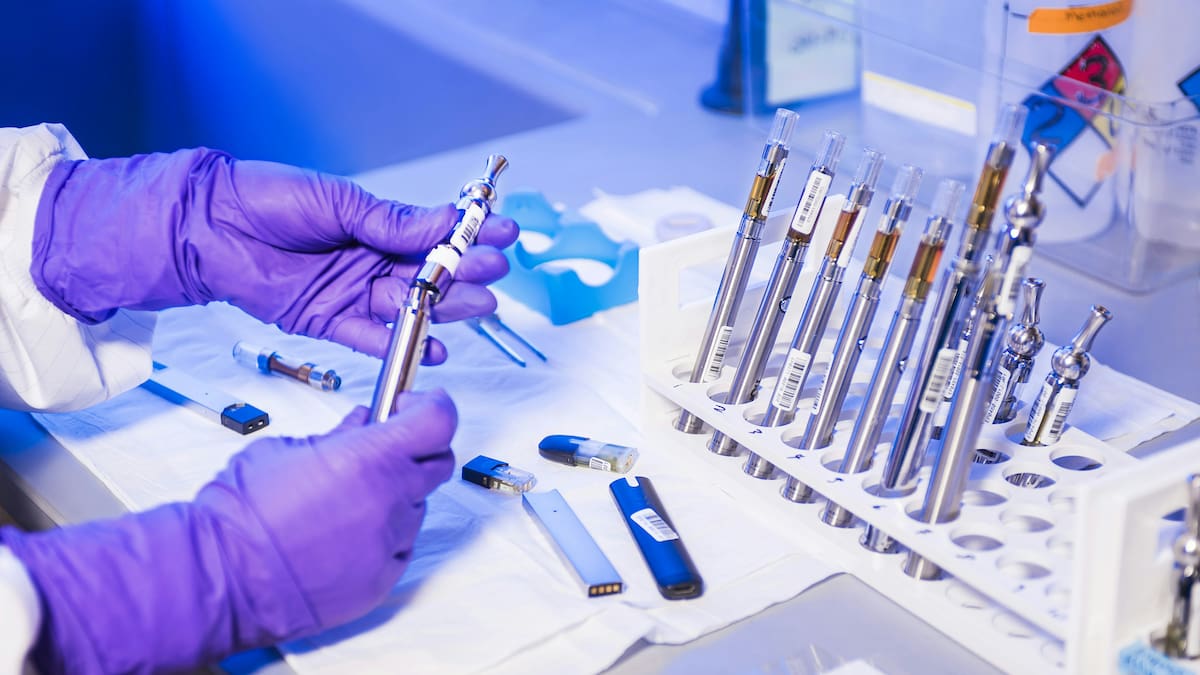 El Aspergillus flavus es un hongo que es temido por su toxicidad. Foto: Unsplash.