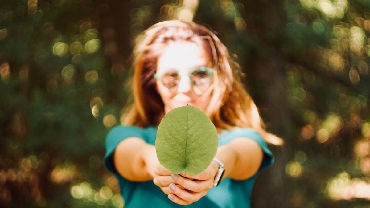 Medio ambiente. Foto: Unsplash.