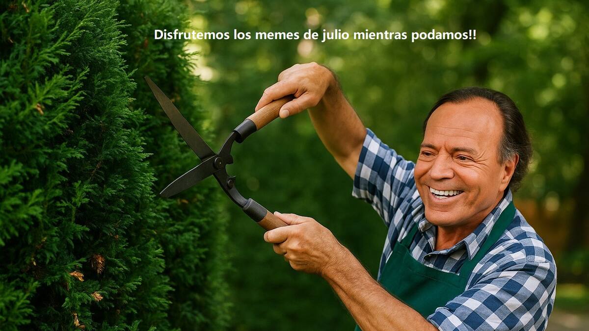 Memes de Julio.