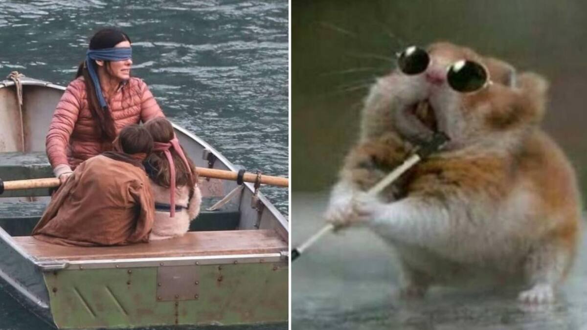 Memes Bird Box - Netflix