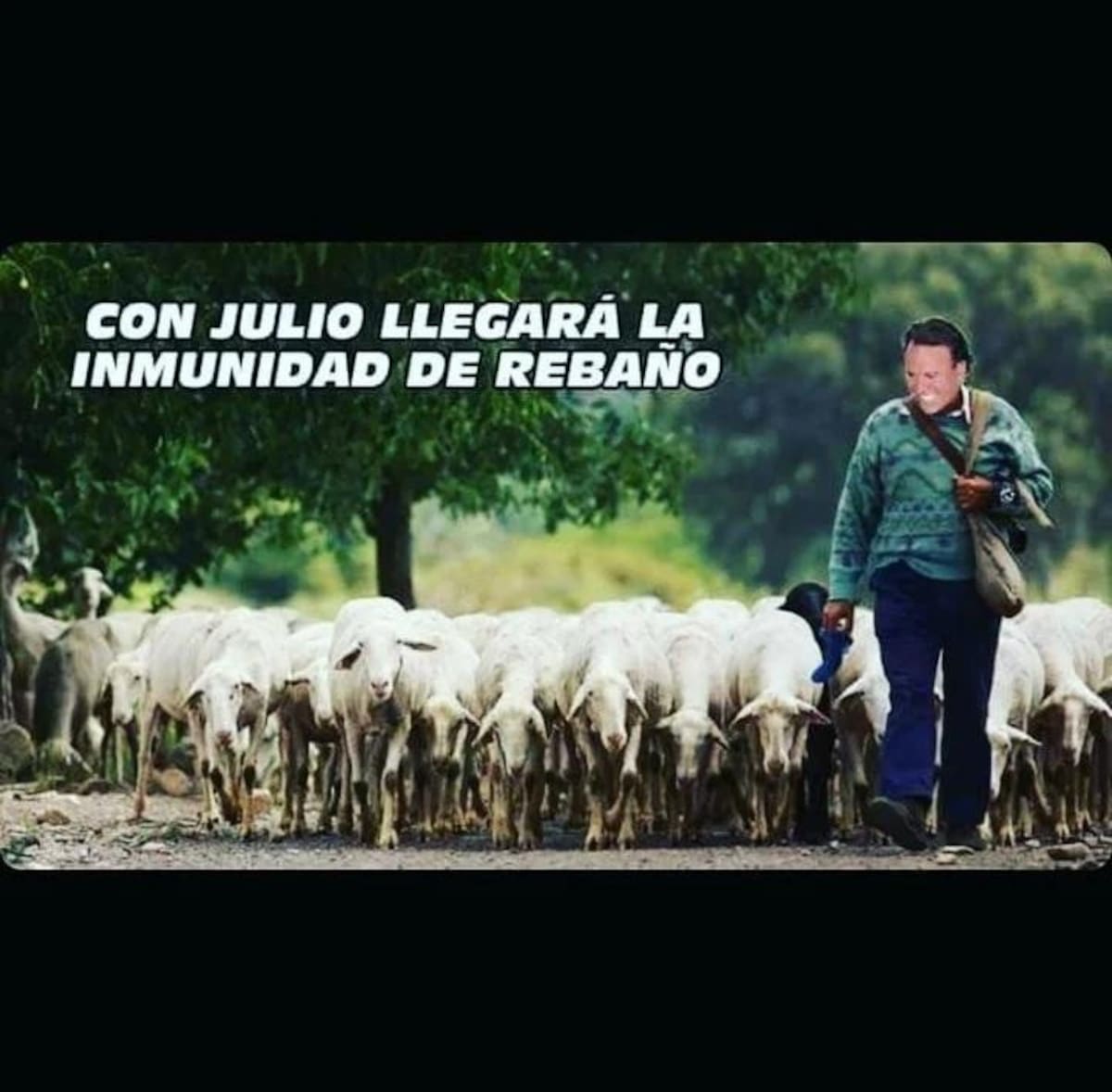 Memes de Julio Iglesias
