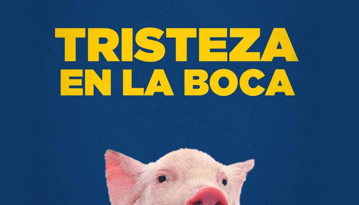 Memes de River vs. Boca - La página millonaria