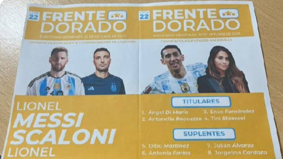 Memes por las Elecciones PASO 2023. Foto: Twitter.