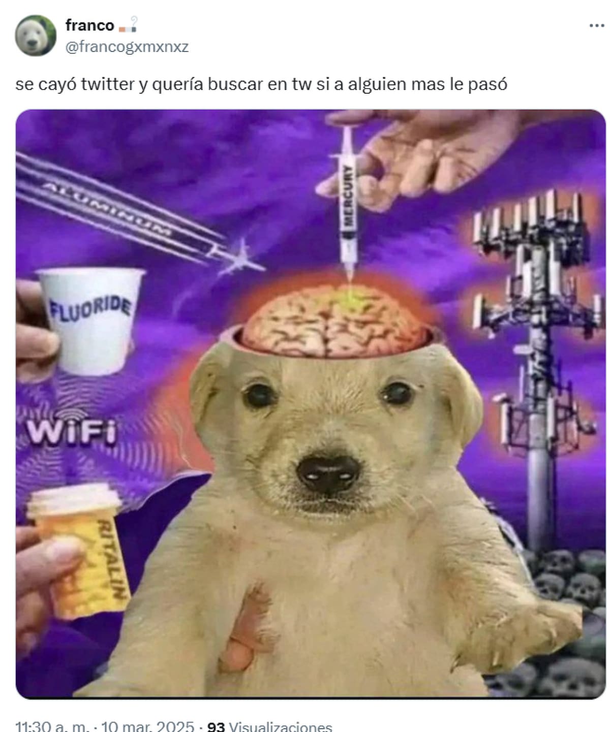 Memes tras la caída de la red social X. Foto: captura X.