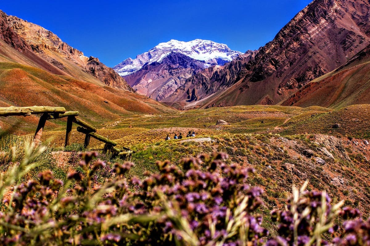 Mendoza, Argentina. Foto: Unsplash.