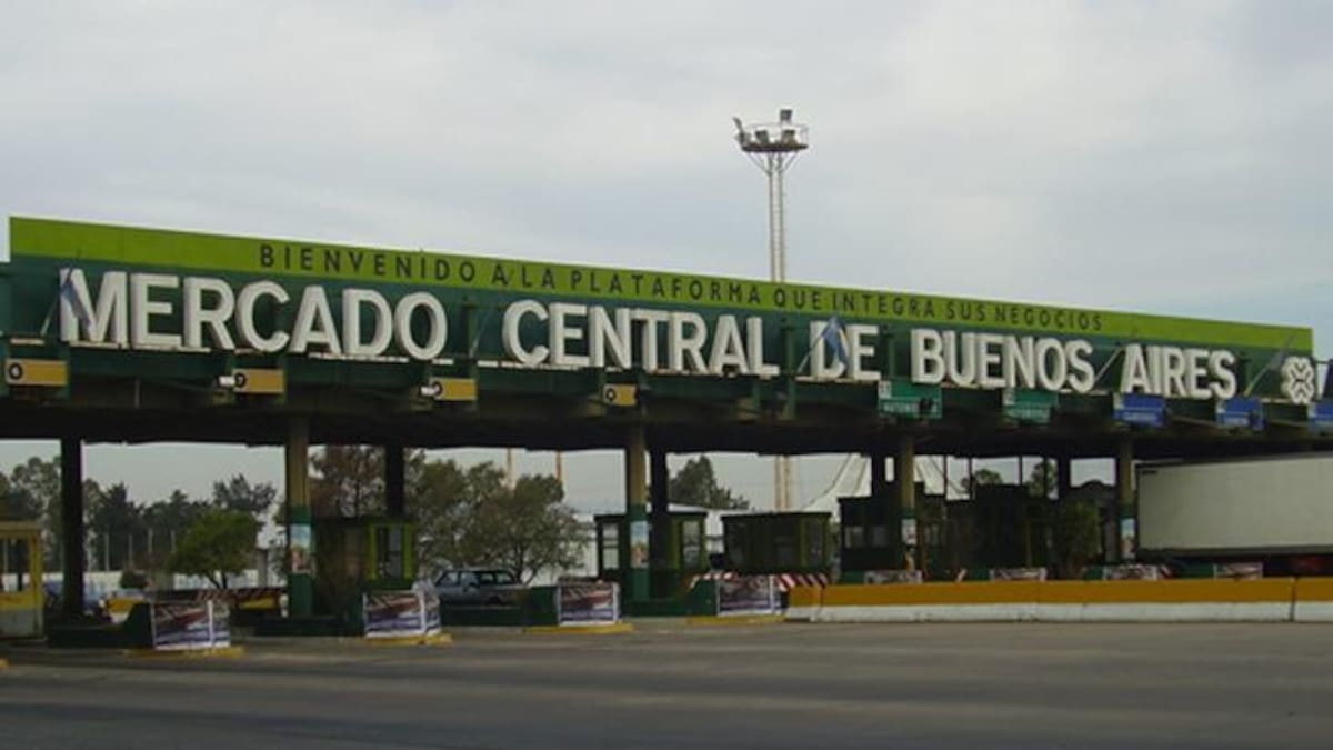 Mercado Central de Buenos Aires: dónde queda, horarios y cómo llegar en auto o en colectivo