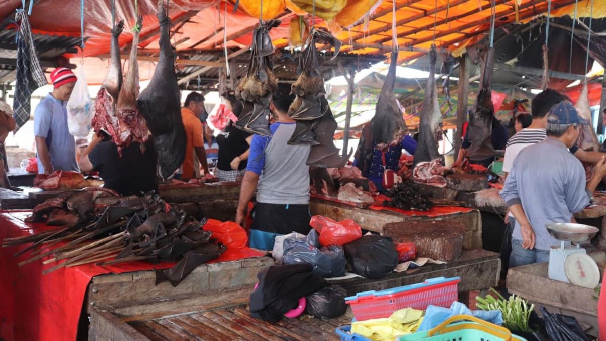 Mercados asiáticos de animales