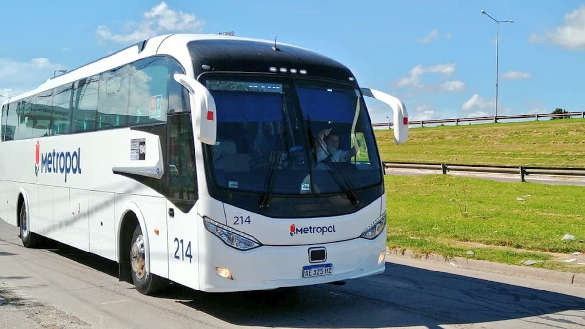 El boleto del colectivo saldrá un 41% más caro.