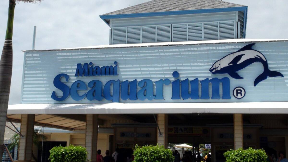 Miami Seaquarium. Foto: EFE