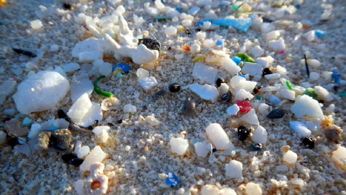 Microplásticos: por primera vez los encontraron en humanos