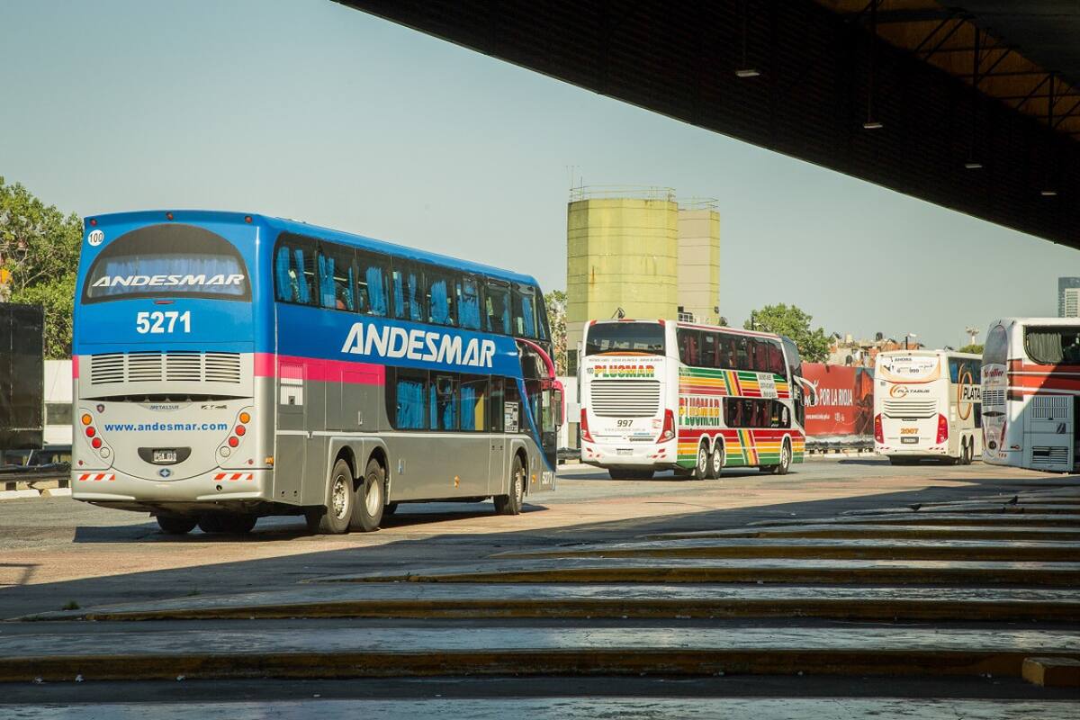 Micros de larga distancia. Foto: NA.