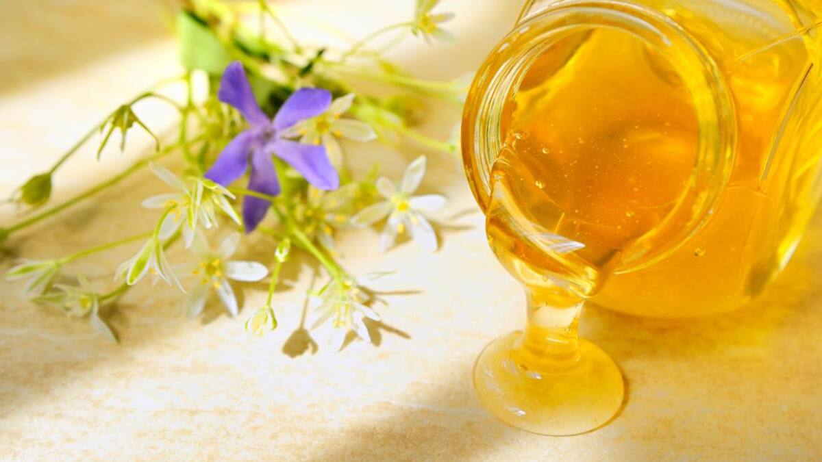 Miel y beneficios para la salud Foto: Alamy