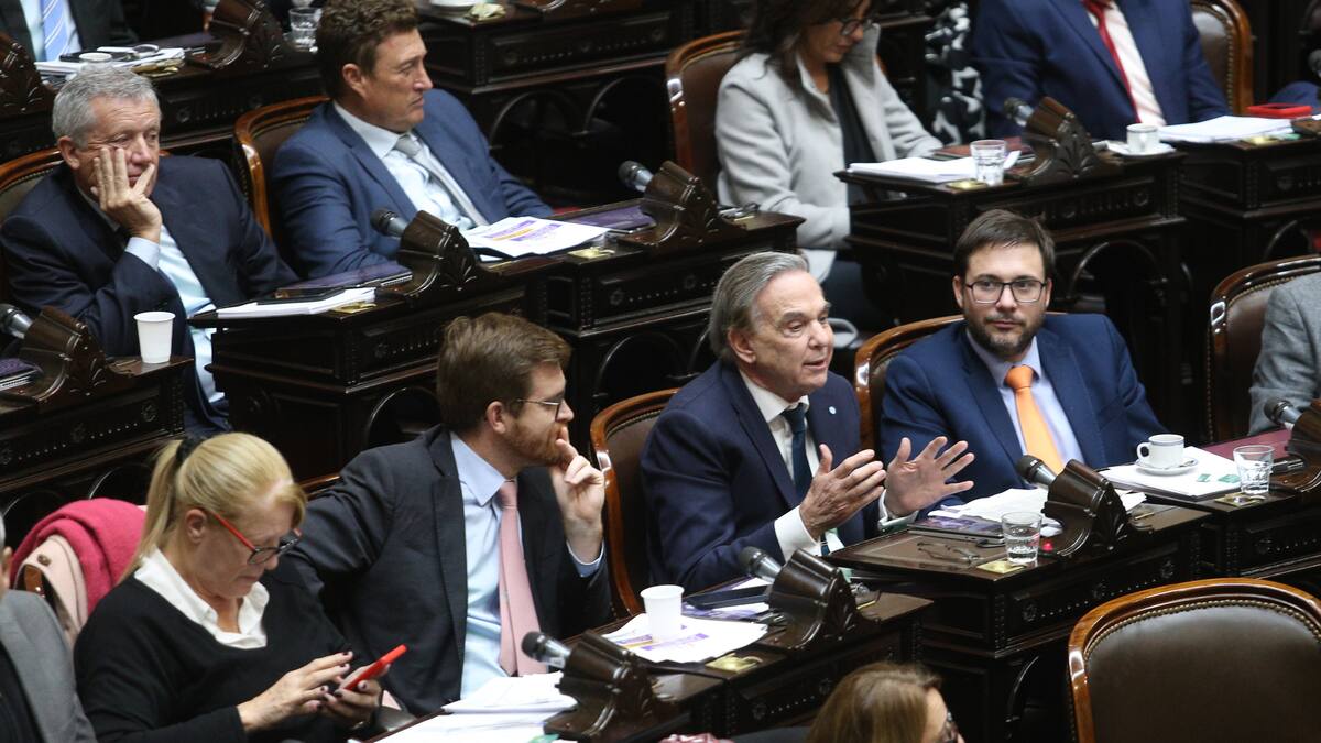 Inesperada interna en Diputados: posible ruptura en el interbloque de Pichetto y los gobernadores de Provincias Unidas