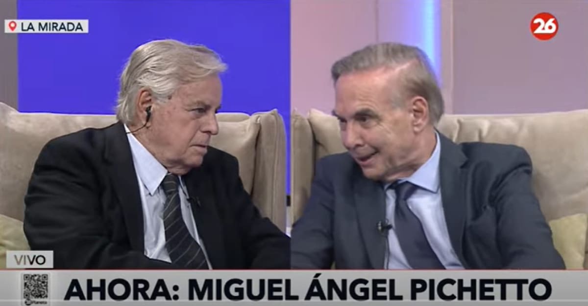 Miguel Ángel Pichetto en La Mirada. Foto: captura de video.